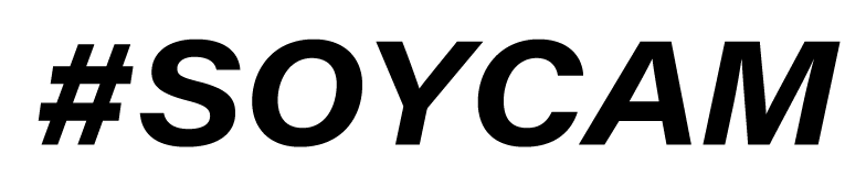 LOGOS CAM 03 programa-cam