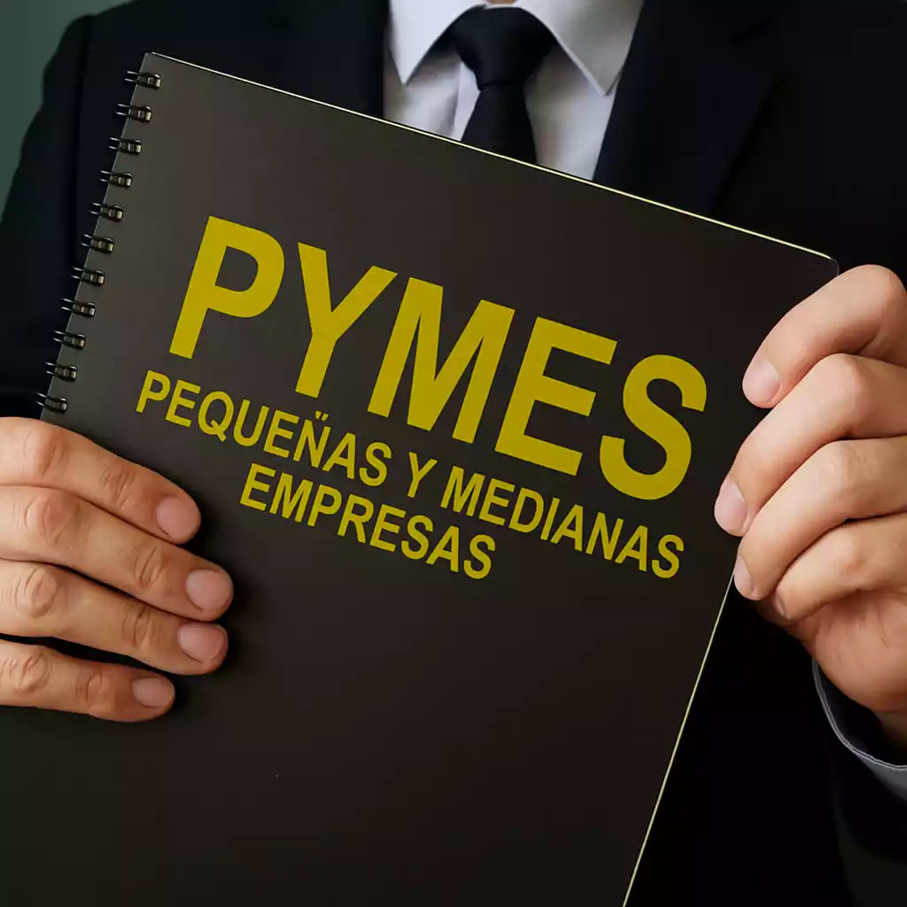 asesoría empresarial para pymes
